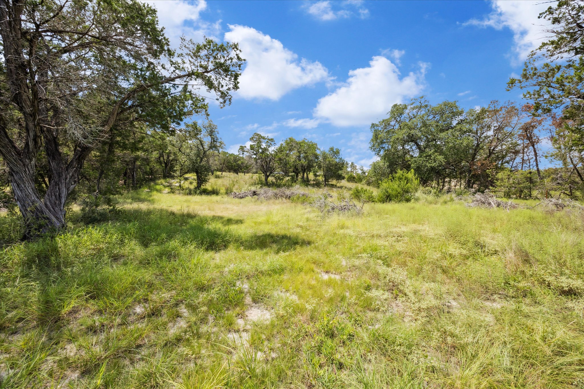 1102 Debco Lane Spicewood, TX 78669 - Photo 4 of 10 View of local wilderness