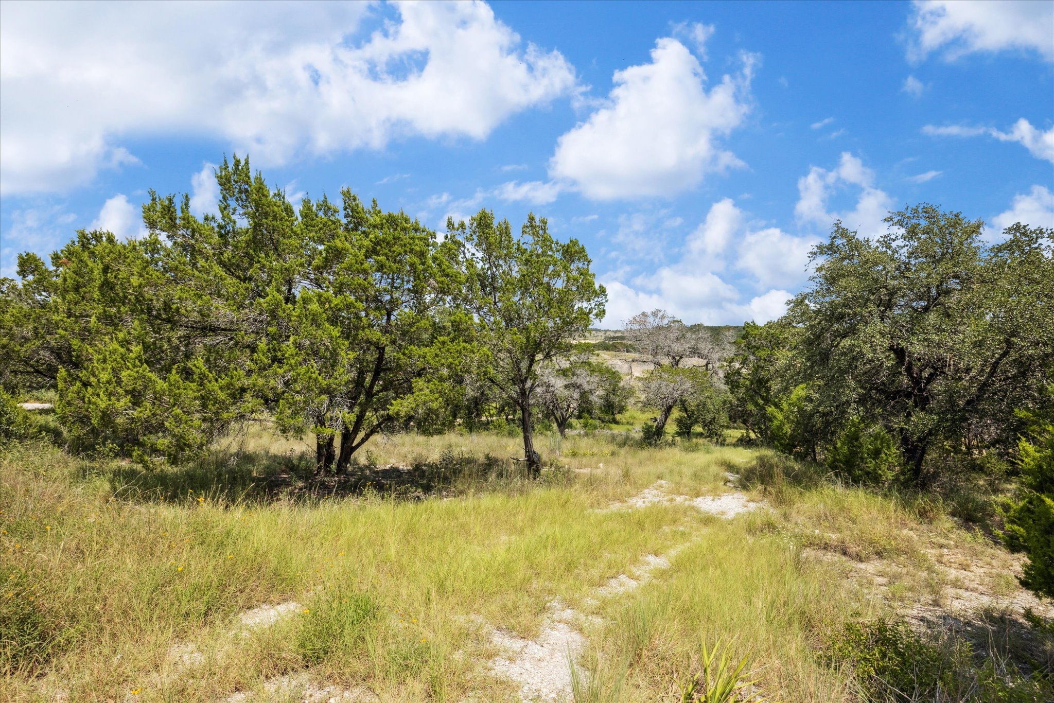 1102 Debco Lane Spicewood, TX 78669 - Photo 5 of 10 View of undeveloped land
