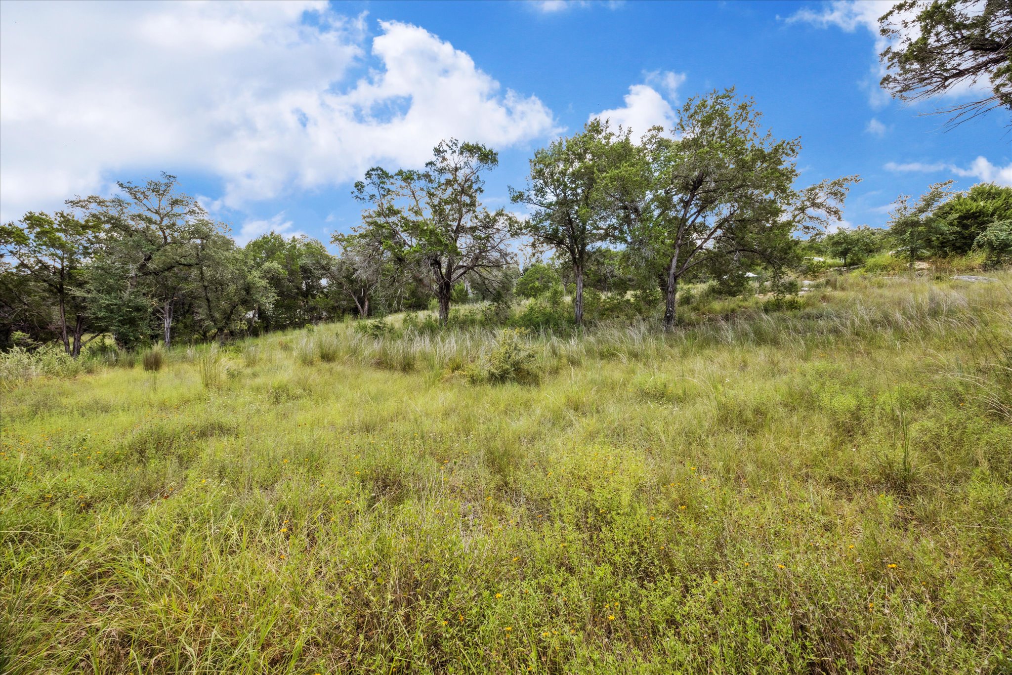 1102 Debco Lane Spicewood, TX 78669 - Photo 6 of 10 View of undeveloped land