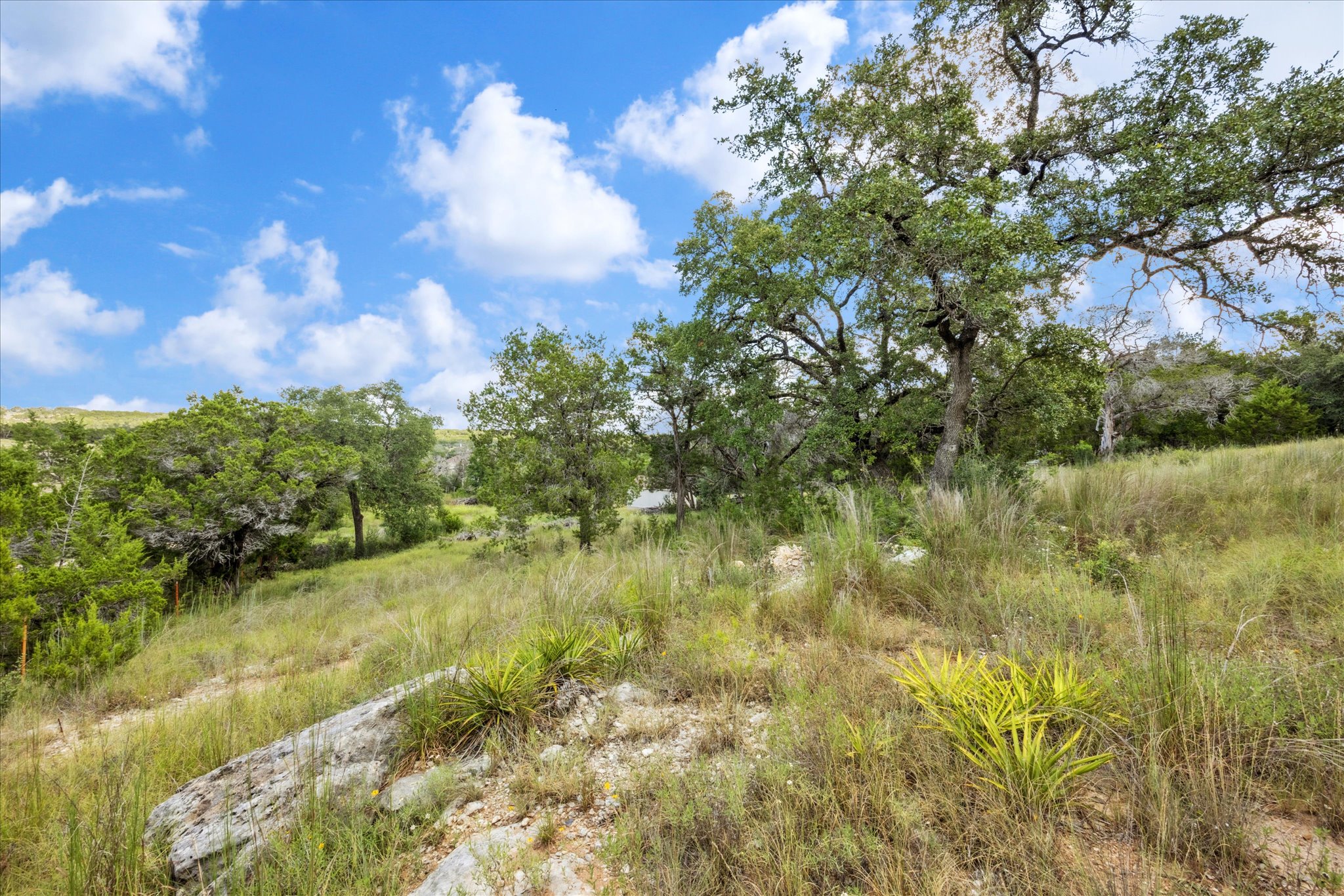 1102 Debco Lane Spicewood, TX 78669 - Photo 7 of 10 View of local wilderness