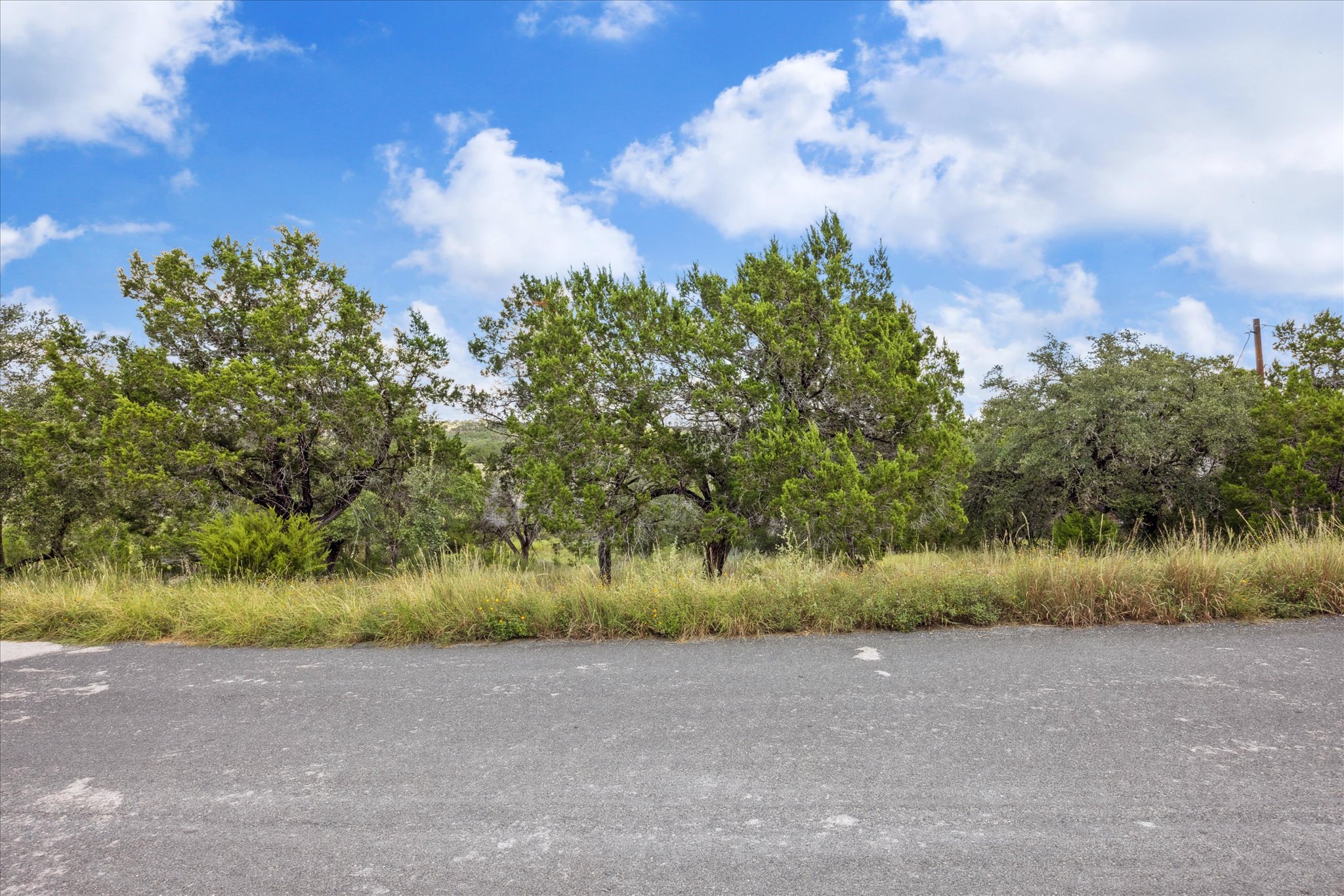 1102 Debco Lane Spicewood, TX 78669 - Photo 8 of 10 View of local wilderness