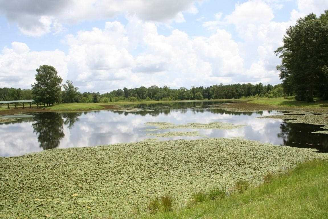 567 Fletcher Road Brandon, MS 39042 - Photo 11 of 29 Photo 11