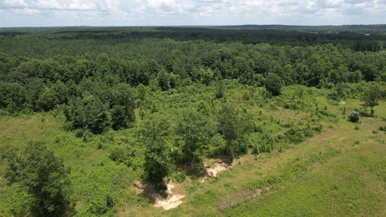 567 Fletcher Road Brandon, MS 39042 - Photo 13 of 29 Photo 13
