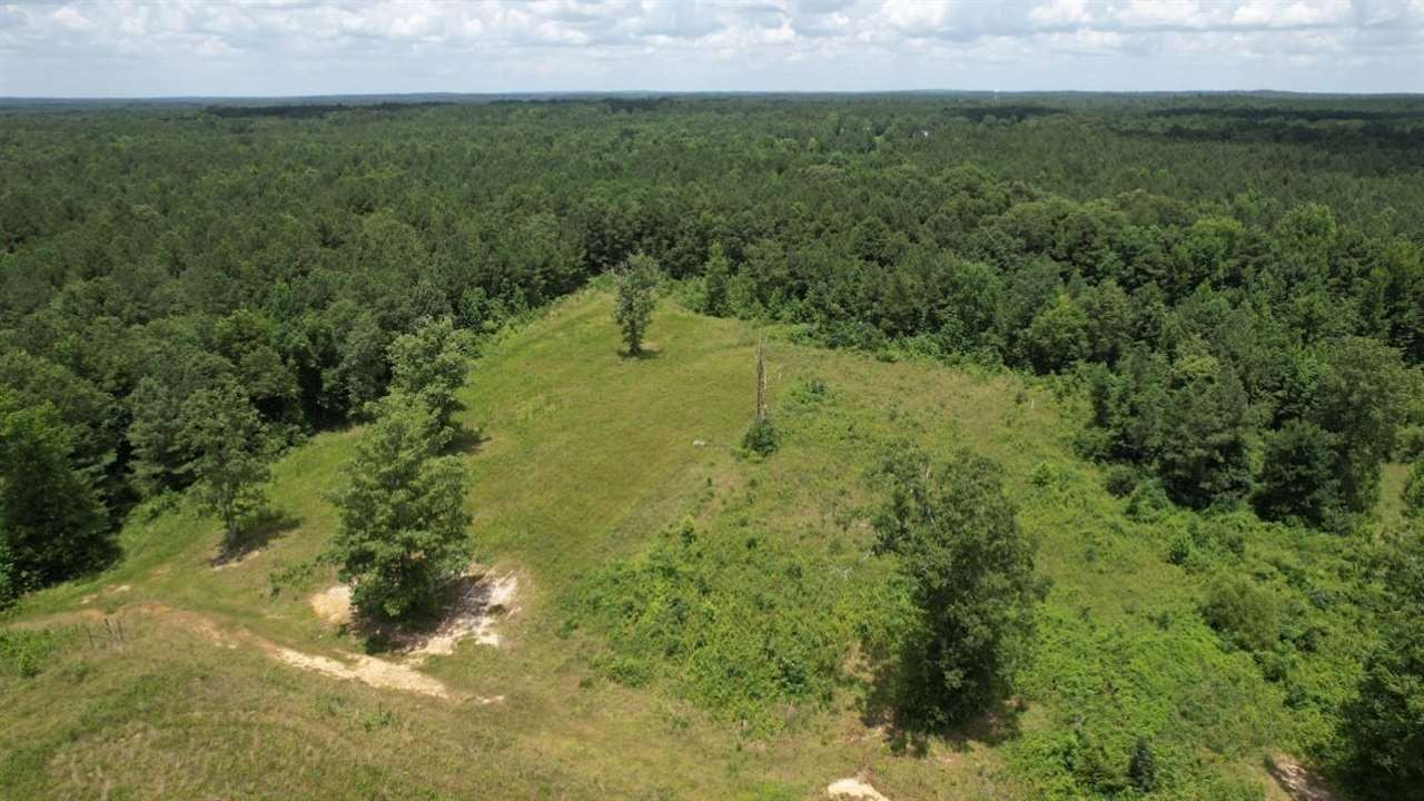 567 Fletcher Road Brandon, MS 39042 - Photo 14 of 29 Photo 14