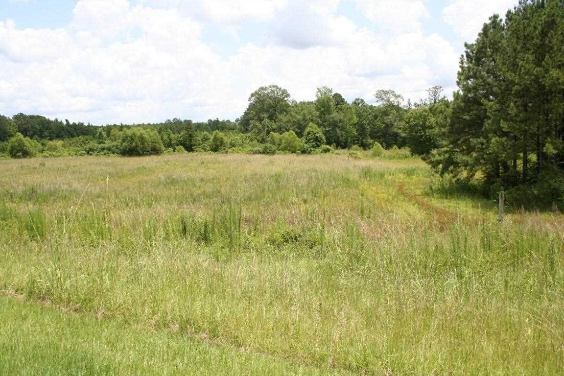 567 Fletcher Road Brandon, MS 39042 - Photo 17 of 29 Photo 17
