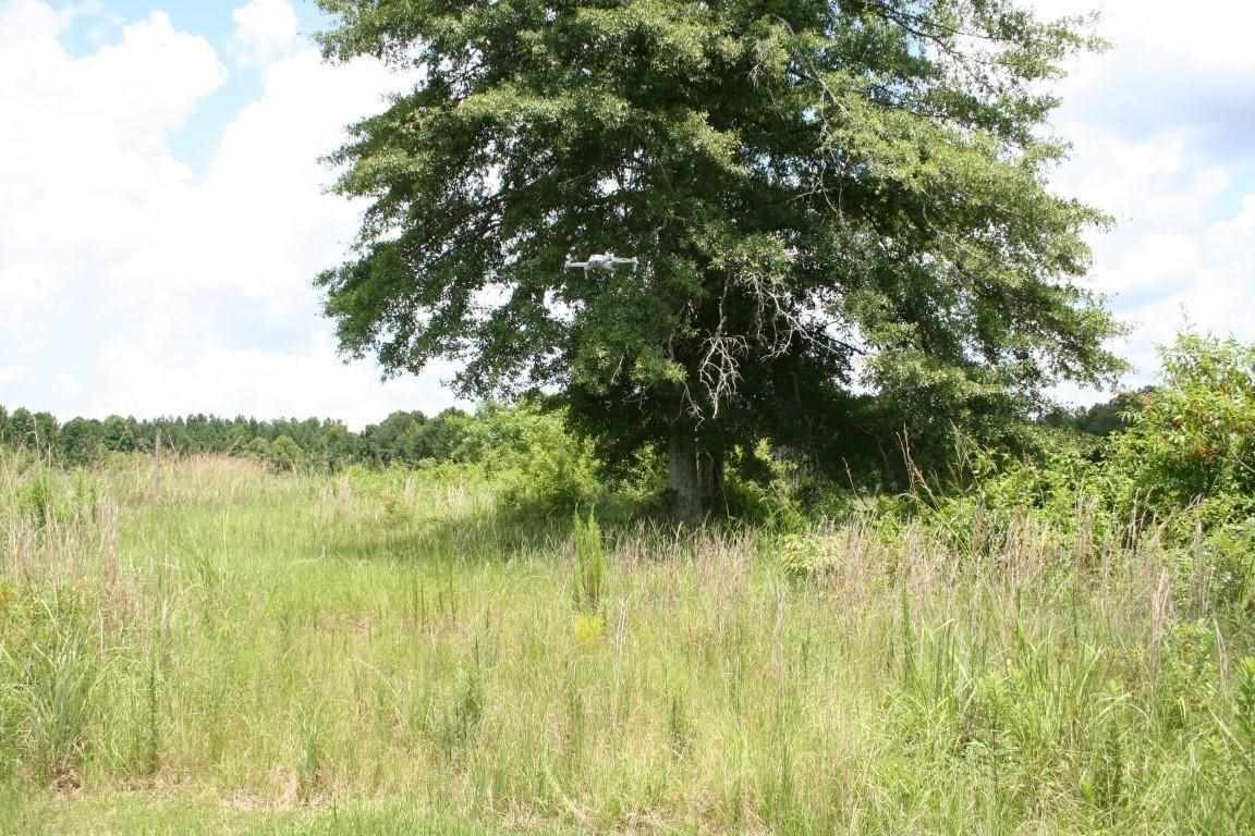 567 Fletcher Road Brandon, MS 39042 - Photo 18 of 29 Photo 18