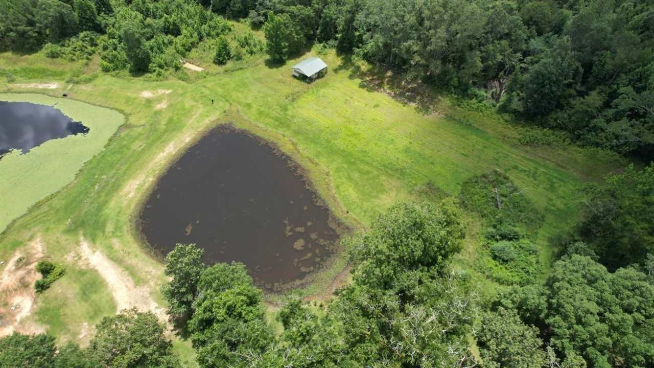 567 Fletcher Road Brandon, MS 39042 - Photo 2 of 29 Photo 2