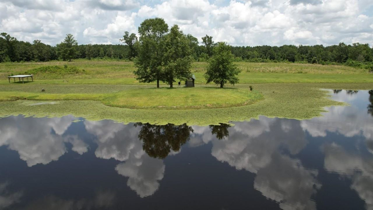567 Fletcher Road Brandon, MS 39042 - Photo 4 of 29 Photo 4