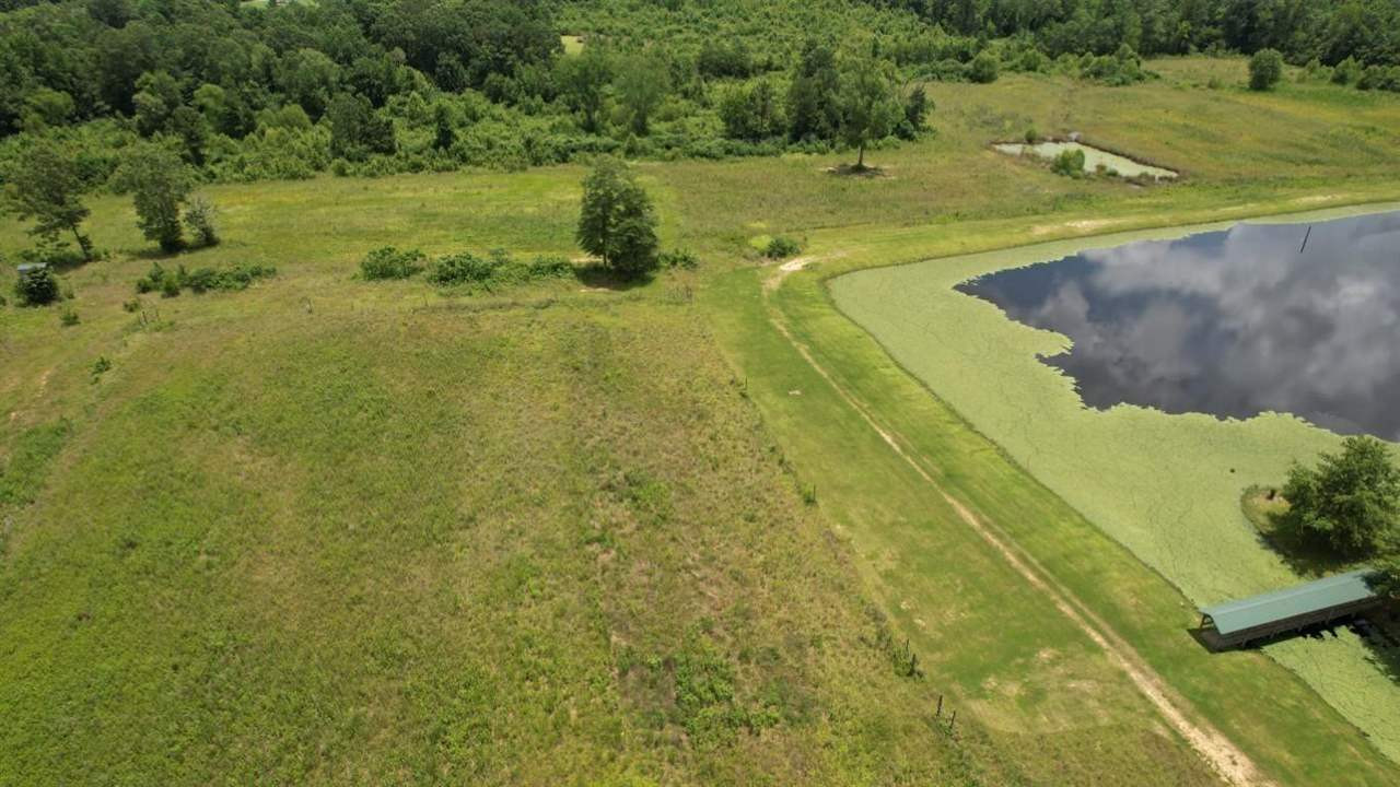 567 Fletcher Road Brandon, MS 39042 - Photo 5 of 29 Photo 5