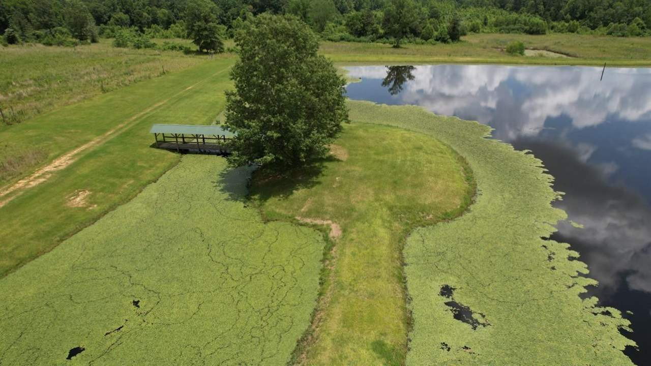 567 Fletcher Road Brandon, MS 39042 - Photo 7 of 29 Photo 7
