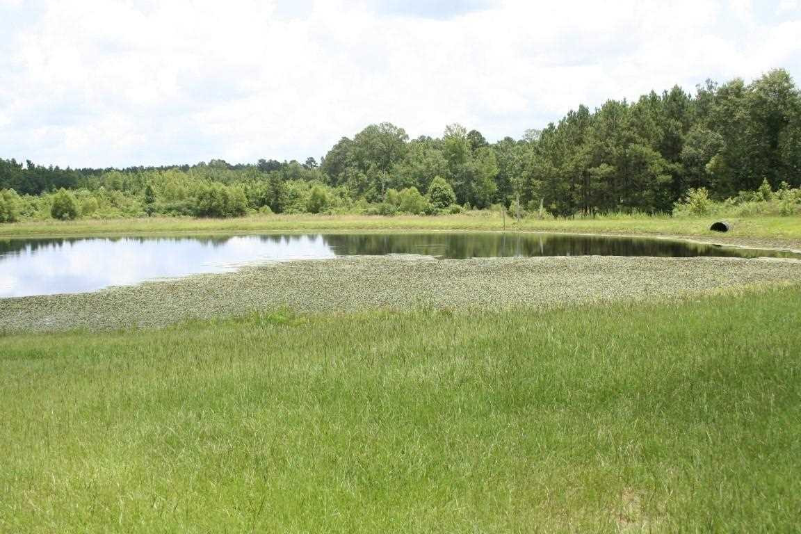 567 Fletcher Road Brandon, MS 39042 - Photo 8 of 29 Photo 8