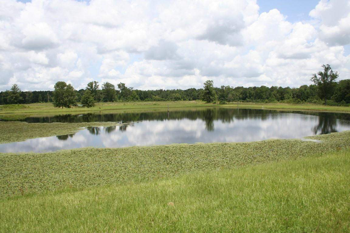 567 Fletcher Road Brandon, MS 39042 - Photo 9 of 29 Photo 9
