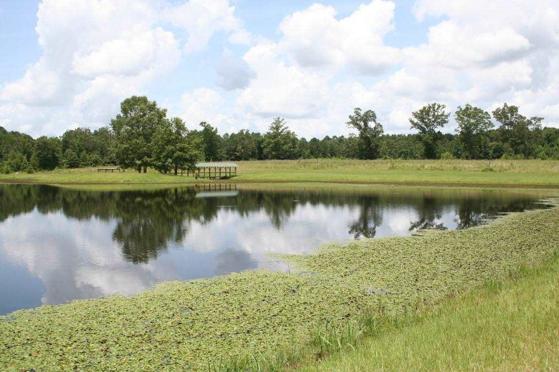 567 Fletcher Road Brandon, MS 39042 - Photo 10 of 29 Photo 10