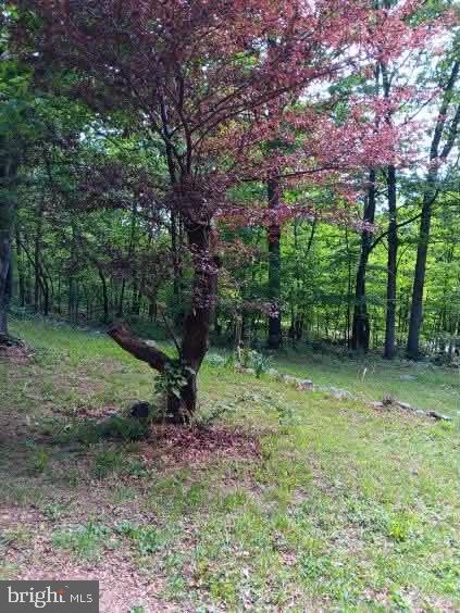 778 Falconwood Road Paw Paw, WV 25434 - Photo 24 of 25