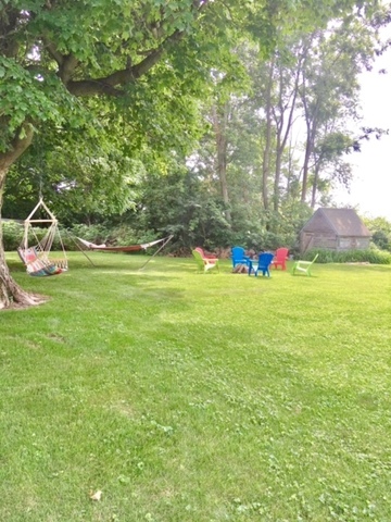 6166 Ogle Road Polo, IL 61064 - Photo 8 of 32 a view of yard with grass and trees