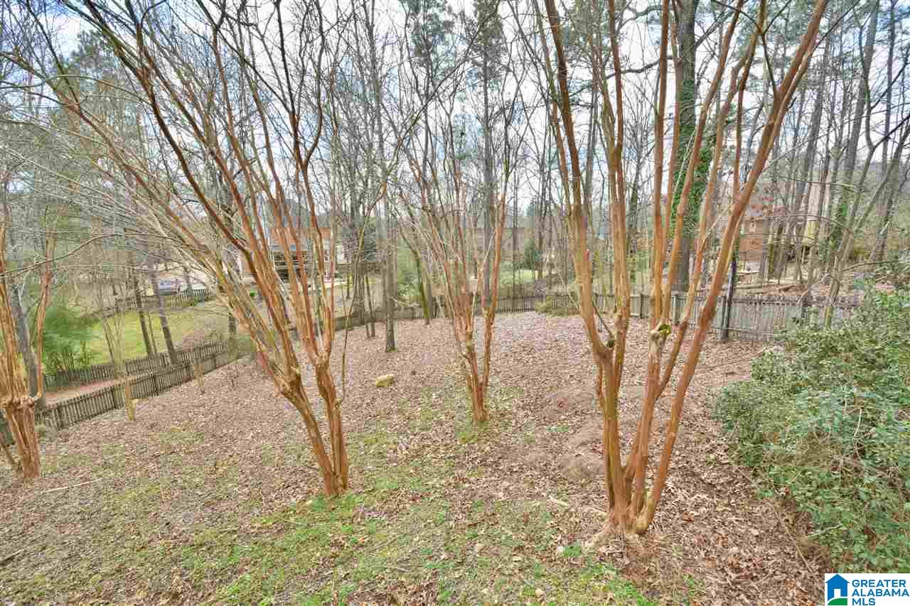 5425 Hickory Ridge Drive Birmingham, AL 35242 - Photo 38 of 38