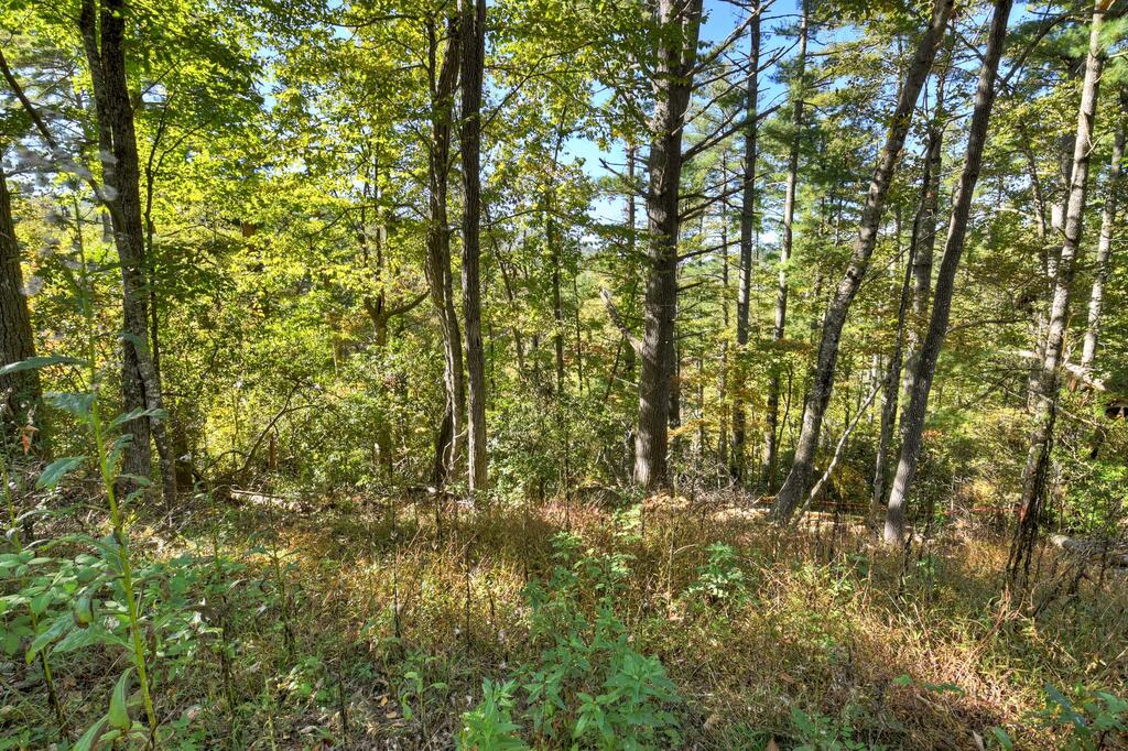 123 Bell Cp Rdg Road Blue Ridge, GA 30513 - Photo 7 of 18 Gallery Image 7