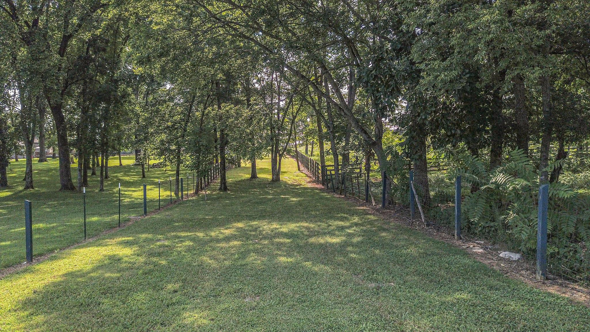 4110 Central Valley Road Murfreesboro, TN 37129 - Photo 28 of 30 Property is beautifully wooded as you head to back portion which backs to TVA horse trails