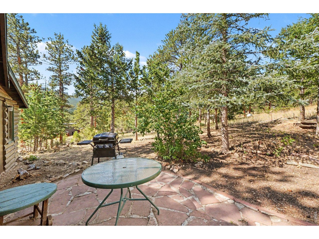 360 Ski Road East Allenspark, CO 80510 - Photo 17 of 25 Gallery Image 17