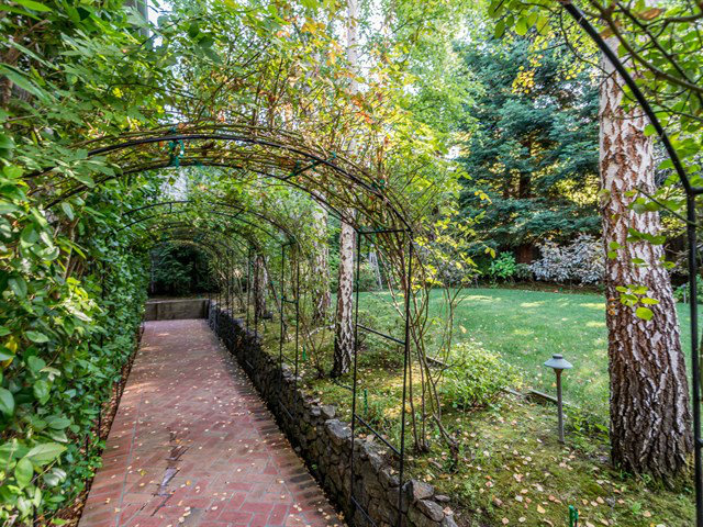 224 Warren Road San Mateo, CA 94402 - Photo 24 of 25 a view of flowing garden