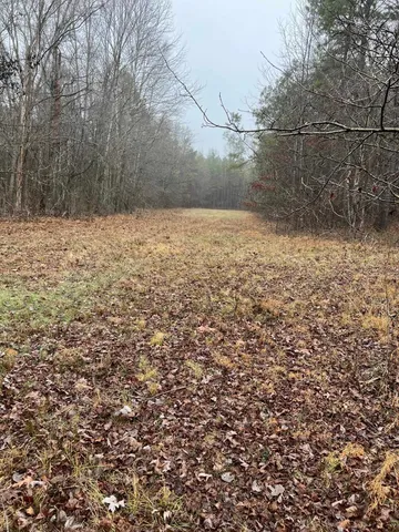 a view of yard covered with snow