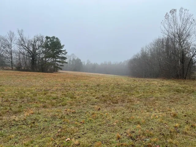 a view of yard with trees