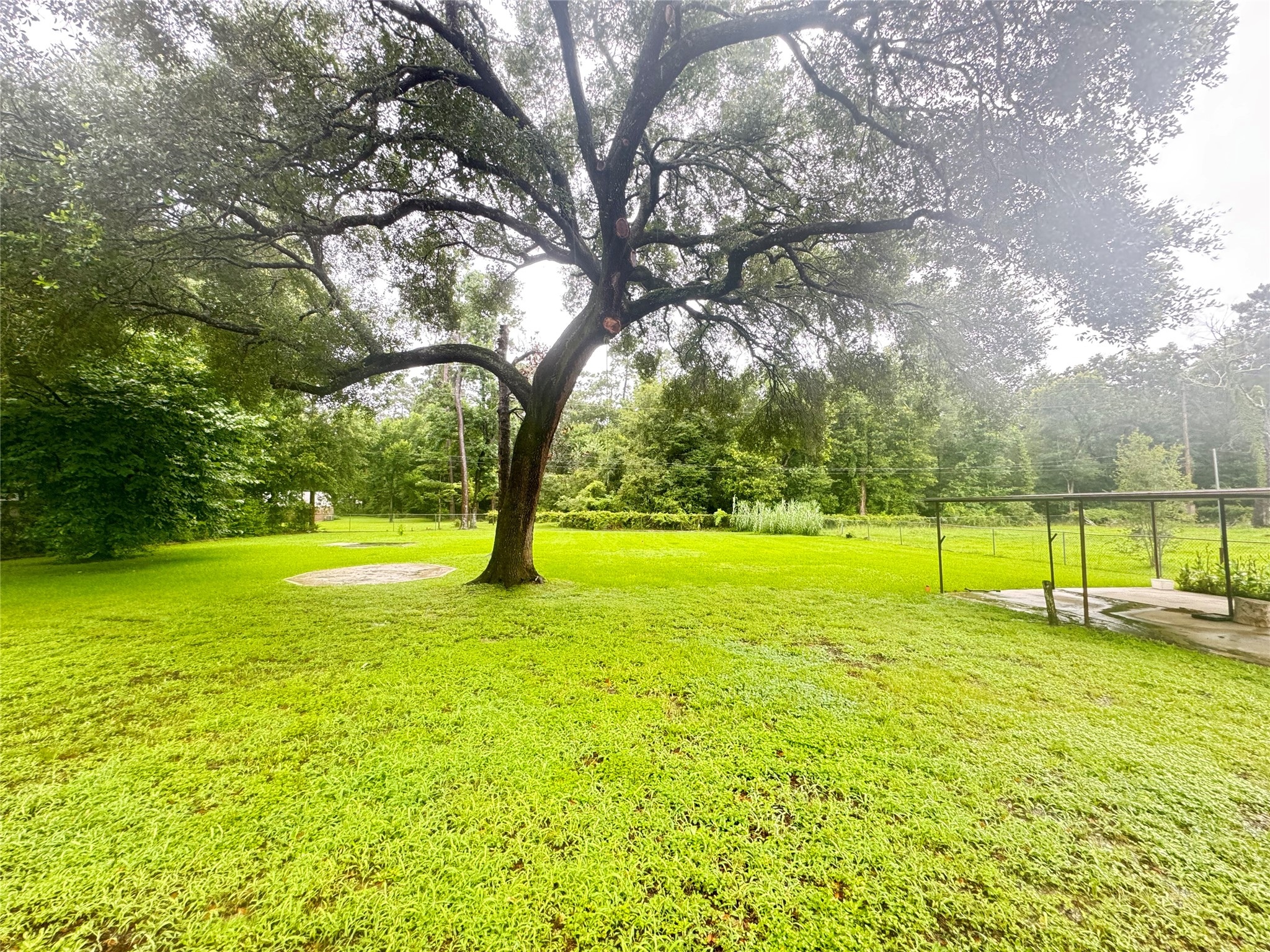 2010 Cherry Laurel Spring, TX 77386 - Photo 45 of 45 Massive back yard
