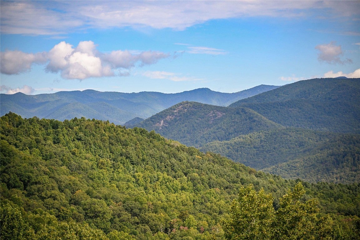 6370 Big Ridge Road Glenville, NC 28736 - Photo 12 of 77 Gallery Image 12
