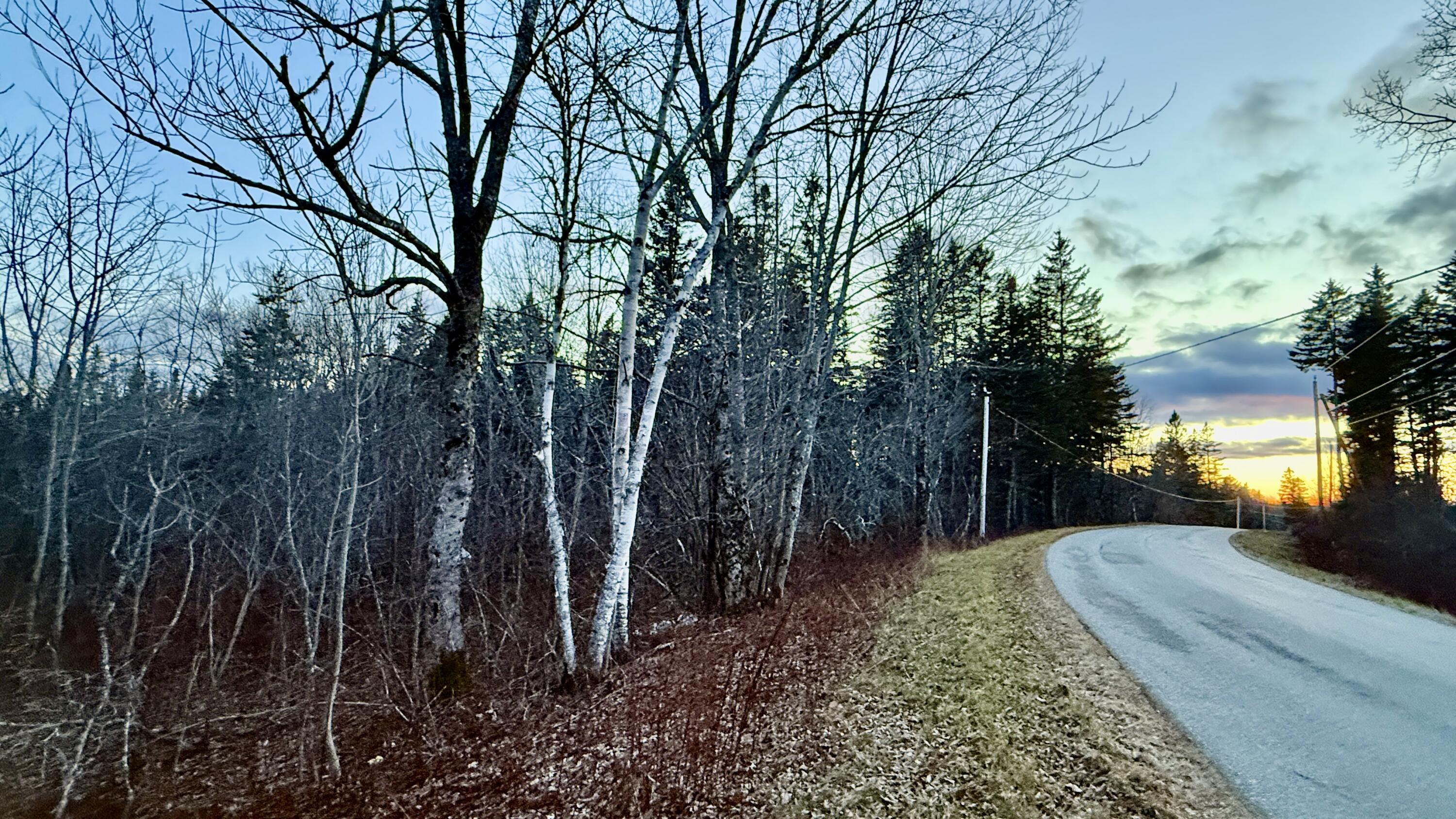 28.4 Wilcox Road Lubec, ME 04652 - Photo 1 of 3 IMG_0401