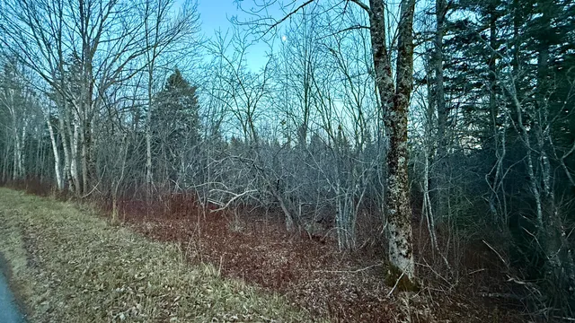 $29,900 | 28.4 Wilcox Road, Lubec, ME 04652