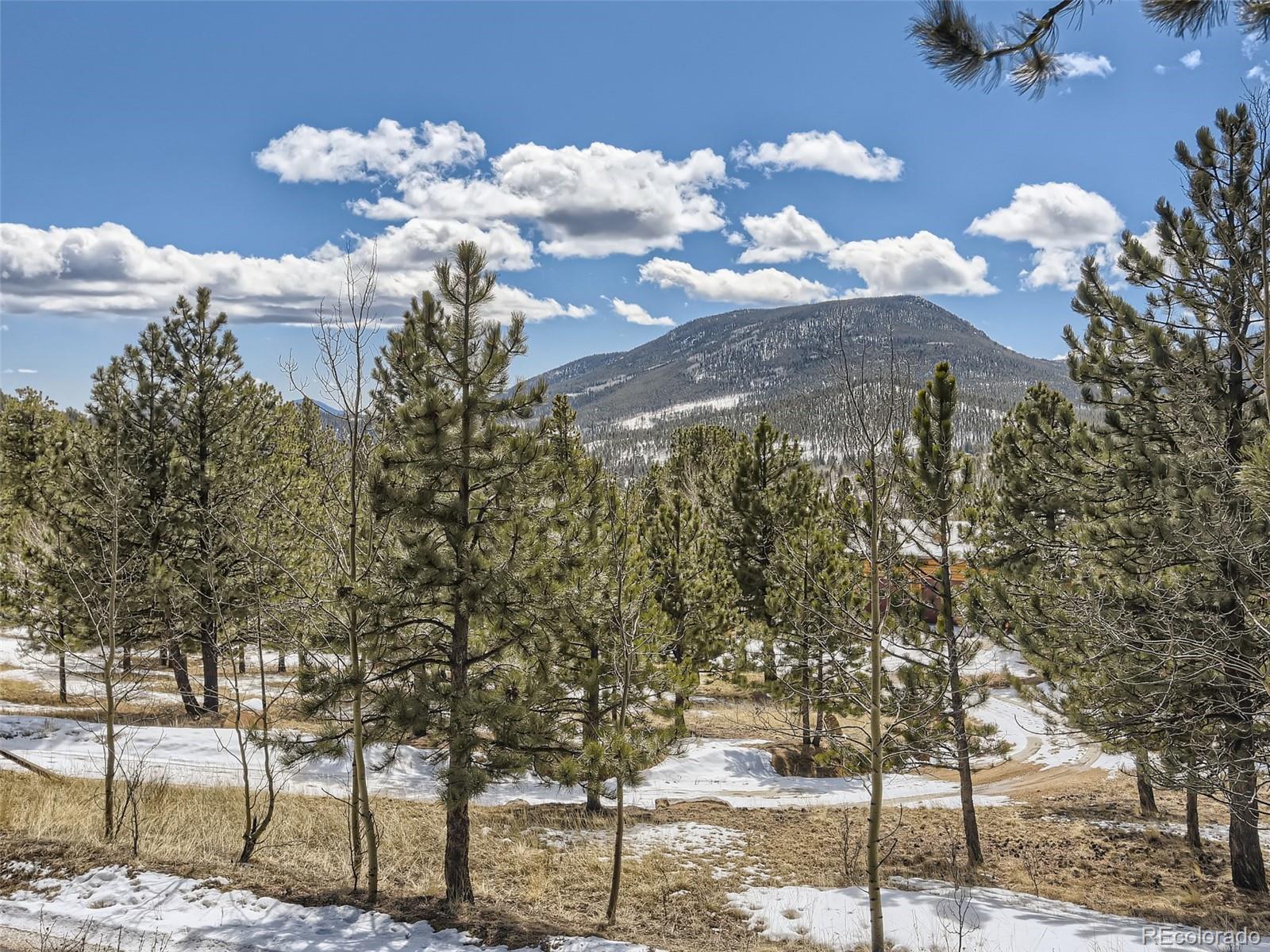 99 P 76 Road Bailey, CO 80421 - Photo 28 of 28