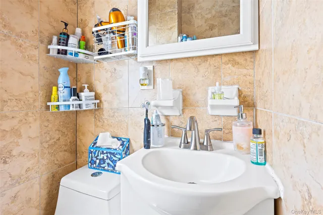 a bathroom with a sink and a toilet
