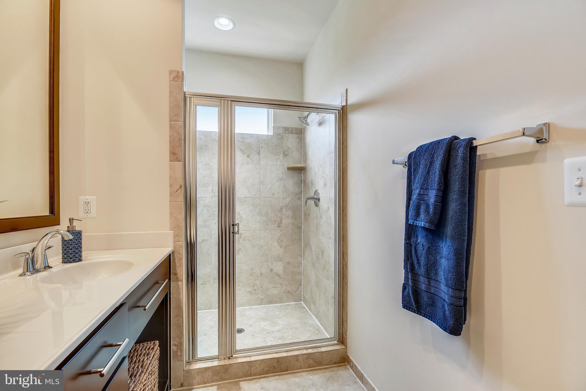 42273 Riggins Ridge Terrace Ashburn, VA 20148 - Photo 16 of 30 Master Bath