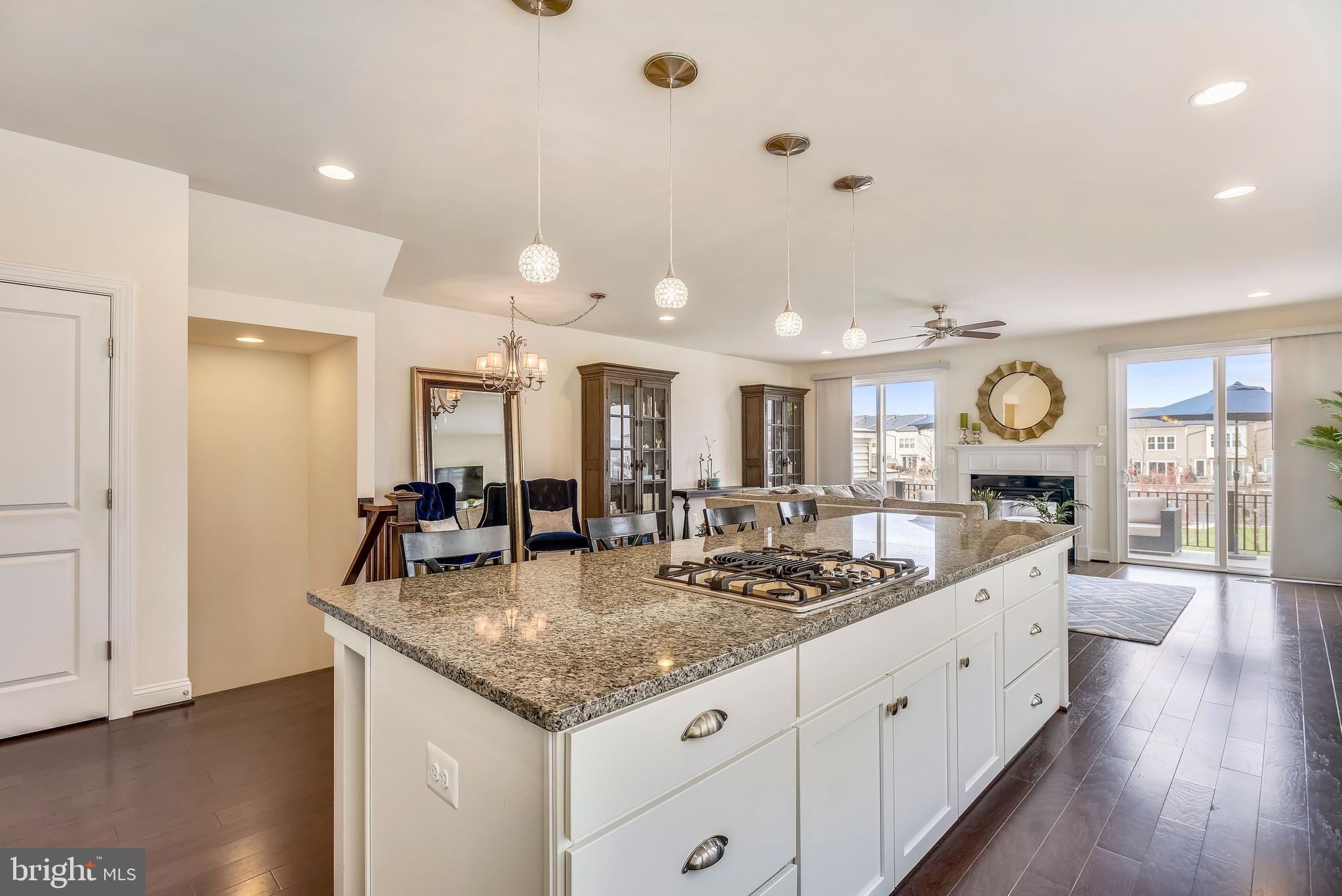 42273 Riggins Ridge Terrace Ashburn, VA 20148 - Photo 10 of 30 Kitchen