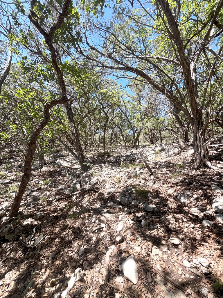 3835 Bluff Creek Road Leakey, TX 78873 - Photo 28 of 41