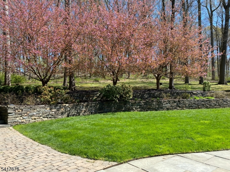 11 Combs Hollow Road Mendham, NJ 07945 - Photo 48 of 50