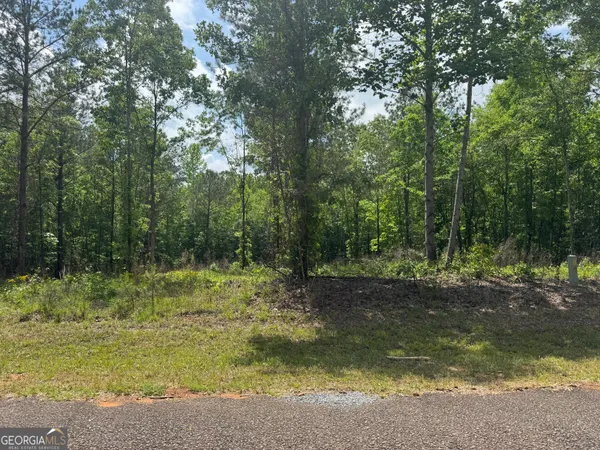 $30,000 | 0 County Road 865, Roanoke, AL 36274