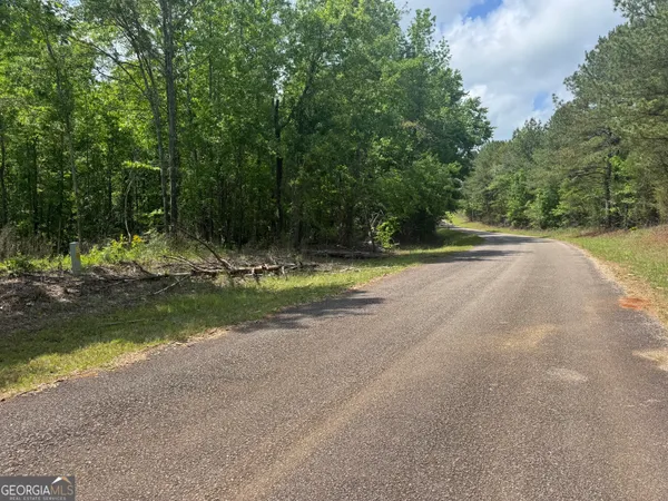 $30,000 | 0 County Road 865, Roanoke, AL 36274