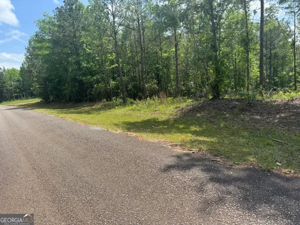 $30,000 | 0 County Road 865, Roanoke, AL 36274
