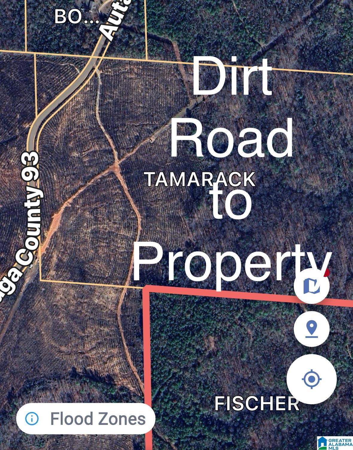 0 County Road 93 Jones, AL 36749 - Photo 3 of 3