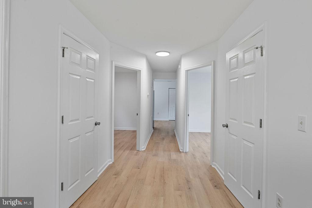 905 Hanover Street Salisbury, MD 21801 - Photo 33 of 40 Bright and inviting hallway with open doors.