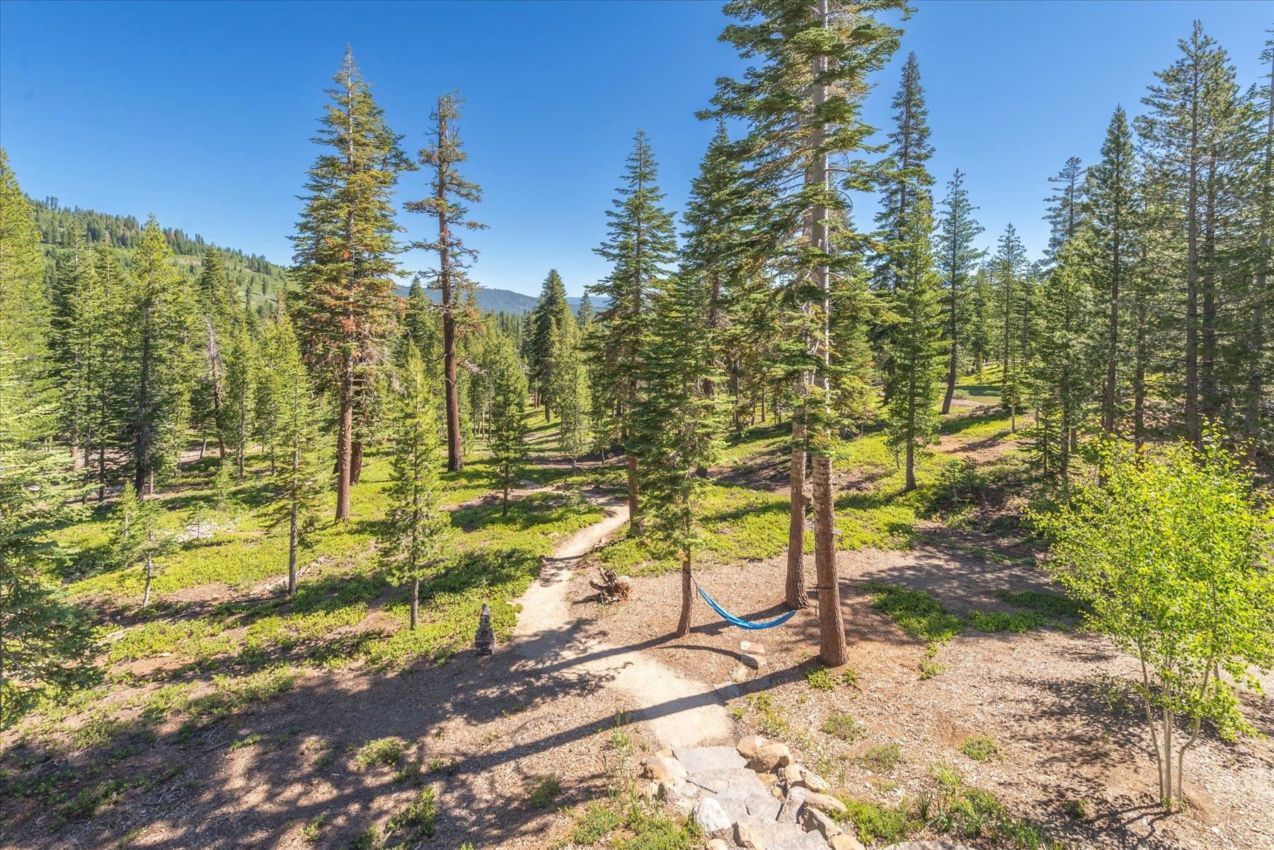 15339 Ski Slope Way Truckee, CA 96161 - Photo 28 of 28 a view of a yard with plants and tree
