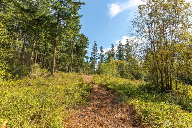 a view of yard with green space
