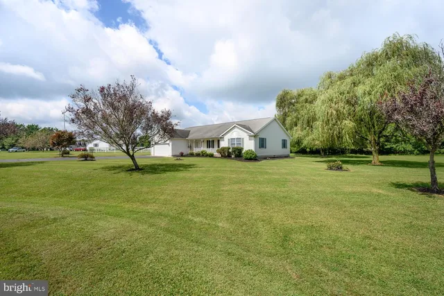 a view of yard with tree s