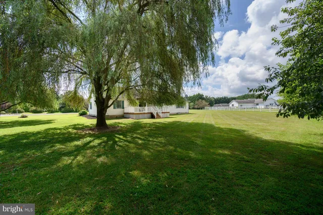 a view of grassy field with benches and trees all around