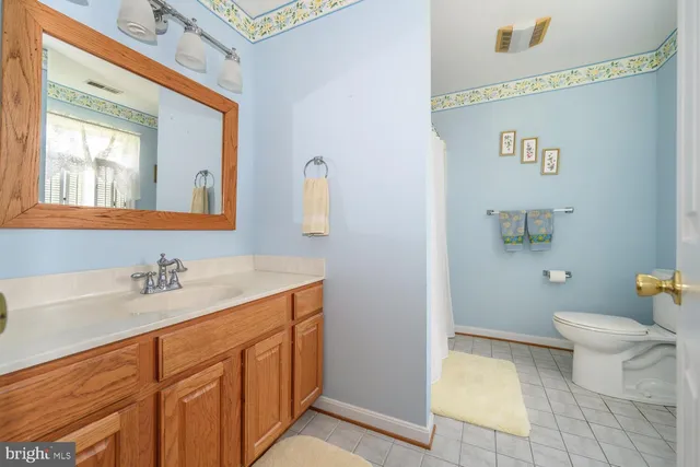 a bathroom with a sink a mirror and a toilet