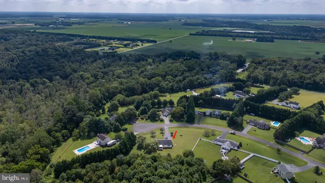 an aerial view of green landscape with trees