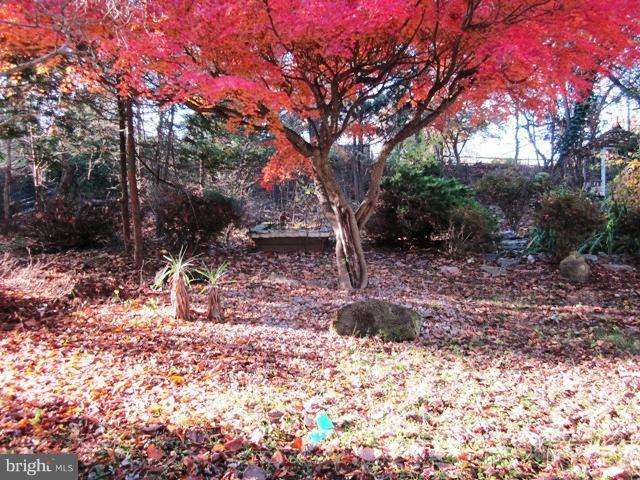 9727 Eustice Road Randallstown, MD 21133 - Photo 12 of 29 backyard
