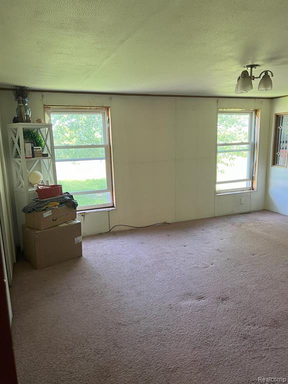 12075 Peet Road Chesaning, MI 48616 - Photo 5 of 17