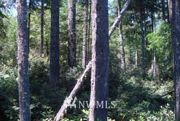 4-xxx Southwest Hunter Road Port Orchard, WA 98367 - Photo 1 of 1 Gallery Image 1